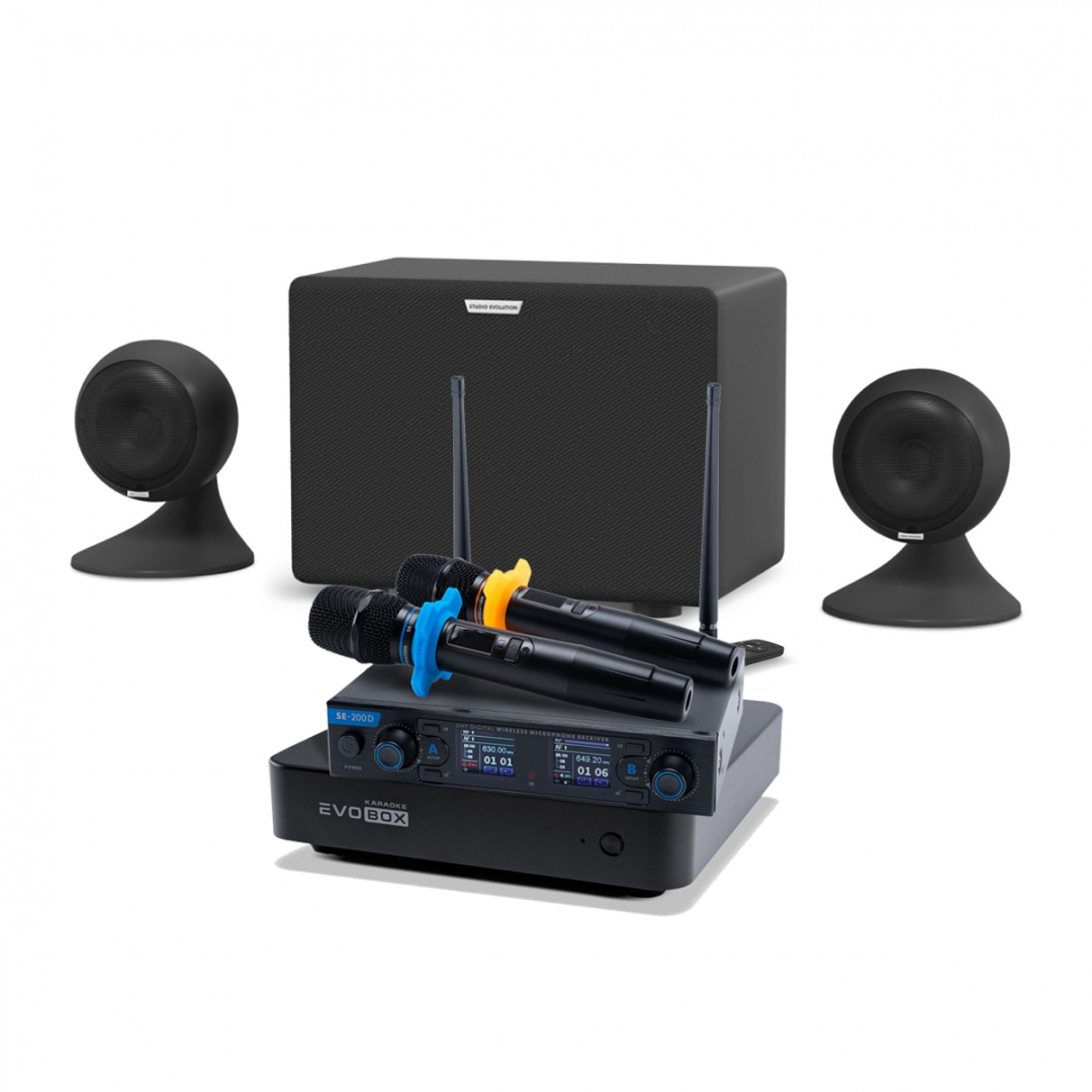 караоке-комплект EVOBOX + EvoSound Sphere 2.1 в Еманжелинске