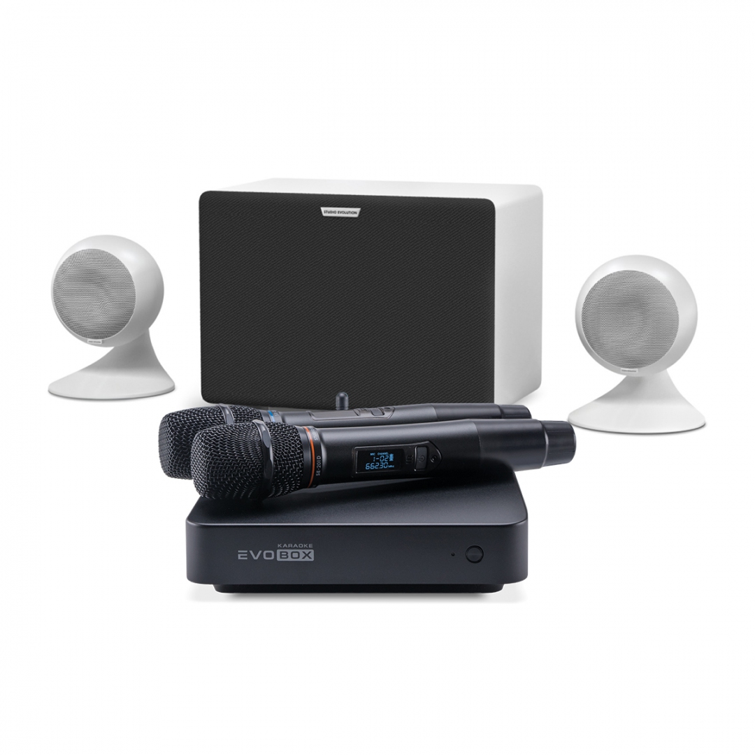 караоке-комплект EVOBOX Classic + EvoSound Sphere 2.1 в Еманжелинске