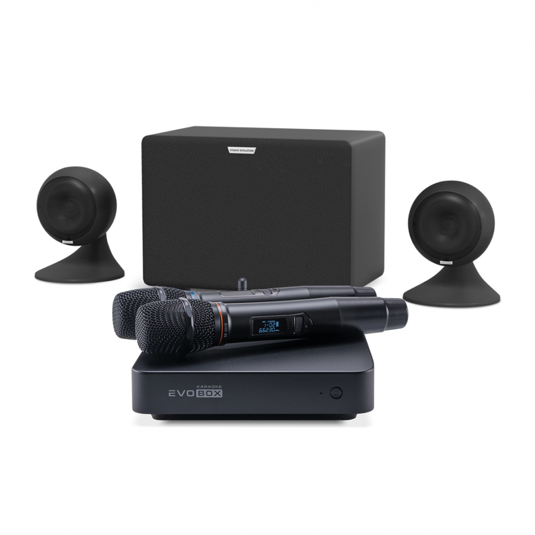 караоке-комплект EVOBOX Plus + EvoSound Sphere 2.1 в Еманжелинске