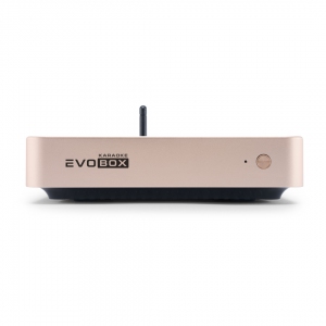 EVOBOX Plus караоке-система для дома в Еманжелинске