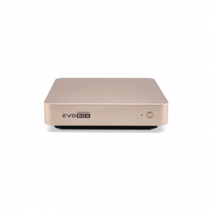 EVOBOX с микрофонами в Еманжелинске