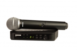 SHURE BLX24E/PG58 M17 вокальная радиосистема в Еманжелинске